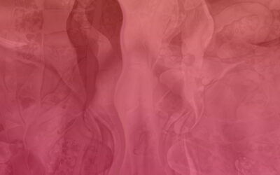 Sulla libertà di non scegliere